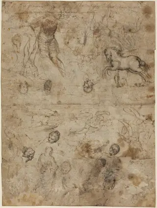 Sheet of Studies