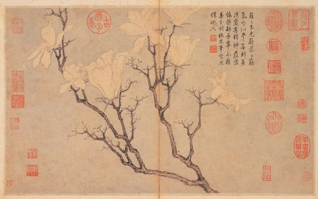 Magnolia, by Shen Zhou, unspecified, 1498