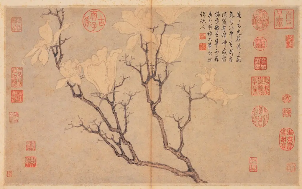 Magnolia, by Shen Zhou