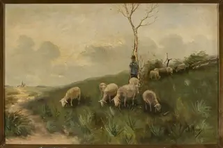 Shepherd and sheep