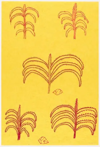 Untitled, by Sheroanawe Hakihiiwe