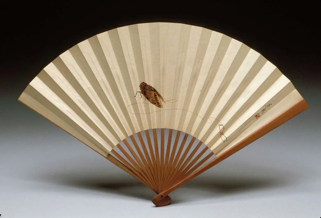 Cicada on a String
