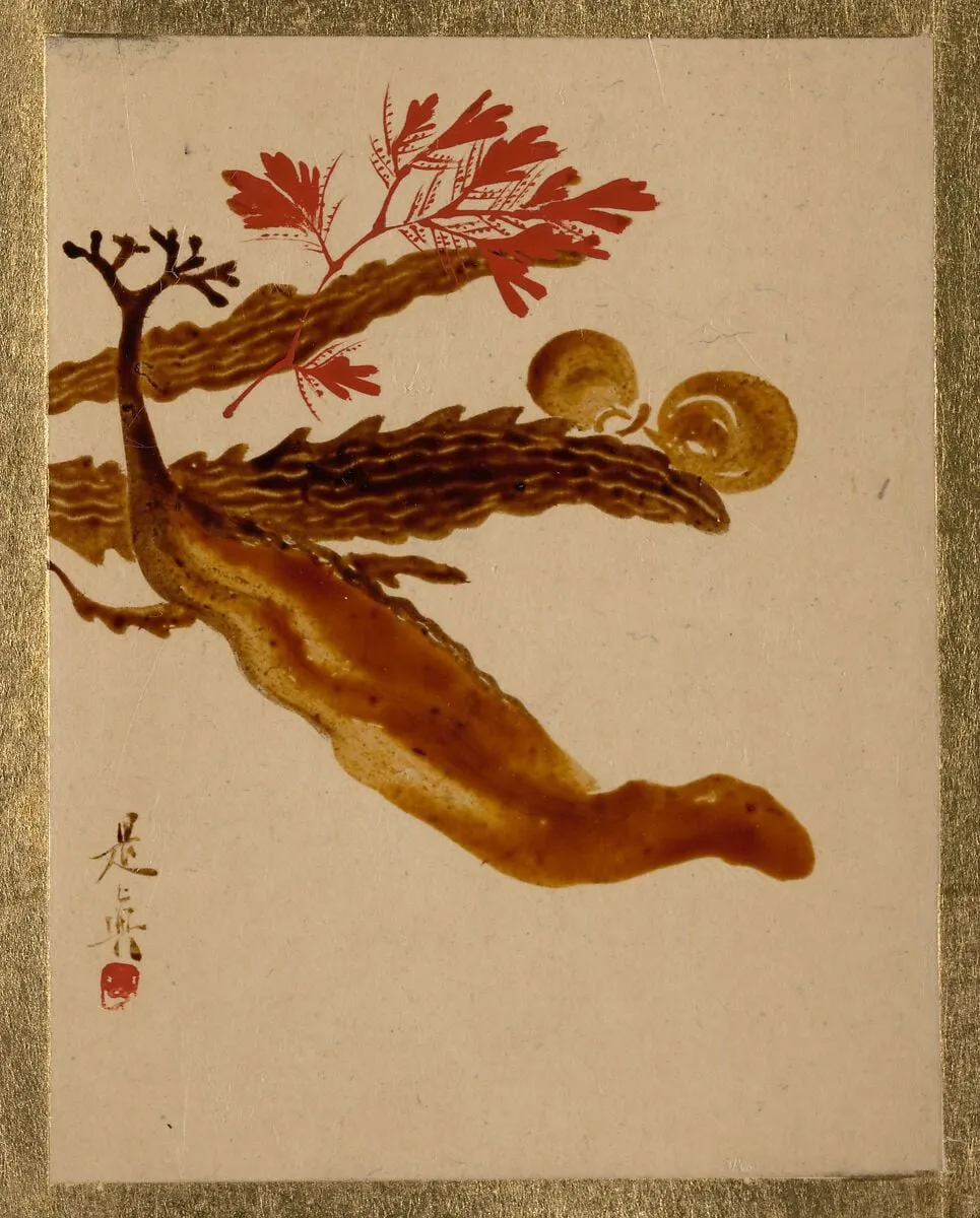 Untitled, by Shibata Zeshin, unspecified, 1837