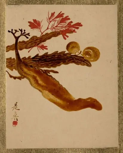 Untitled, by Shibata Zeshin