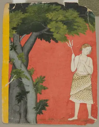 Shiva under trees