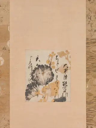 松花堂昭乗書・伝俵屋宗達下絵   和歌色紙  |Poem by Onakatomi Yoshinobu with Underpainting of Hollyhocks, by Shōkadō Shōjō
