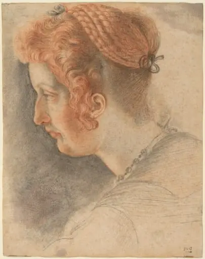 Head of a Woman in Profile, by Sigismondo Coccapani