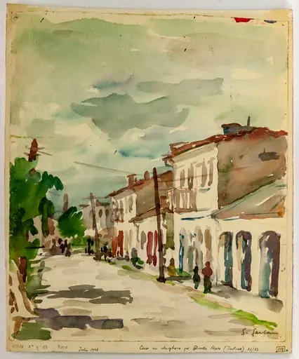 Case cu dughene pe strada Mare (Tulcea)