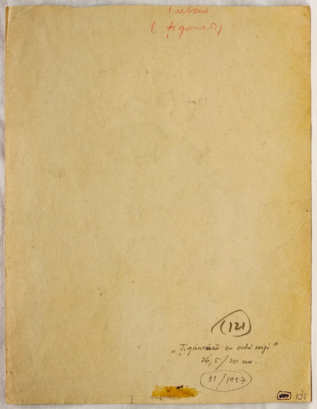 Țigăncușă cu ochi verzi (țigancă), by Silvia Șerban