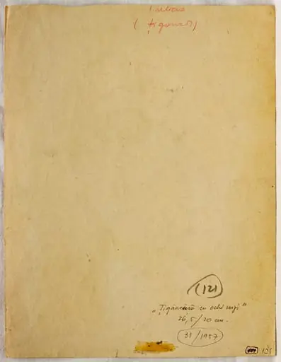 Țigăncușă cu ochi verzi (țigancă), by Silvia Șerban