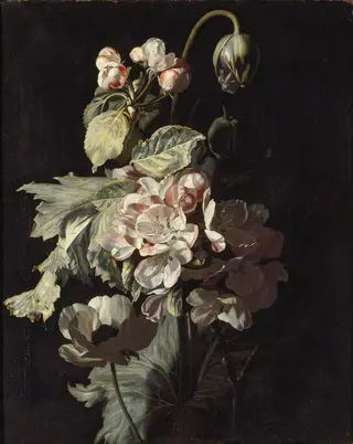 Still Life of Apple Blossom, by Simon Pietersz Verelst, 1690