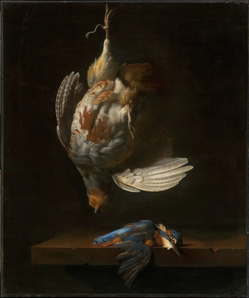Still Life with Dead Partridge and Kingfisher, by Simon Pietersz Verelst