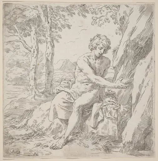 Saint John the Baptist in the Desert, by Simone Cantarini