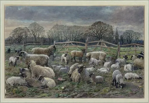 Sheep in a Turnip Field: Winter