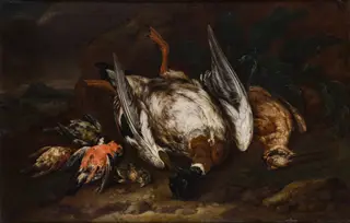 Slaughtered Birds