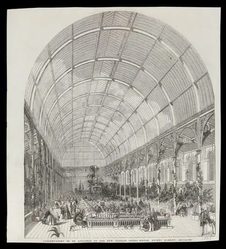 H Beard Print Collection, by Smyth