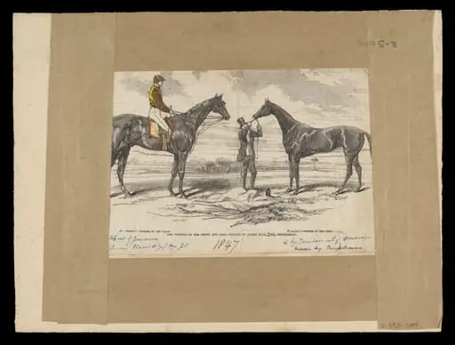 H Beard Print Collection, by Smyth