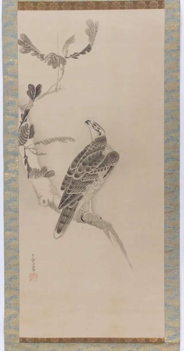 Hawks (Taka zu)