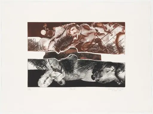Untitled, by Solange Araujo
