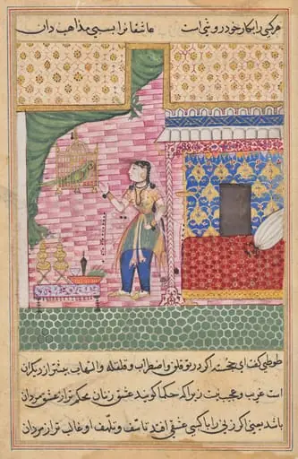 The Parrot Addresses Khujasta at the Beginning of the Seventeenth Night, from a Tuti-nama (Tales of a Parrot), by Sravana
