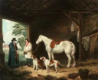 Stable interior