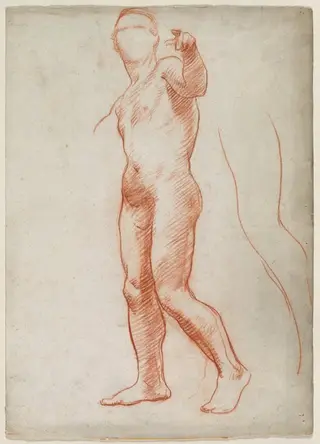 Standing Male Nude