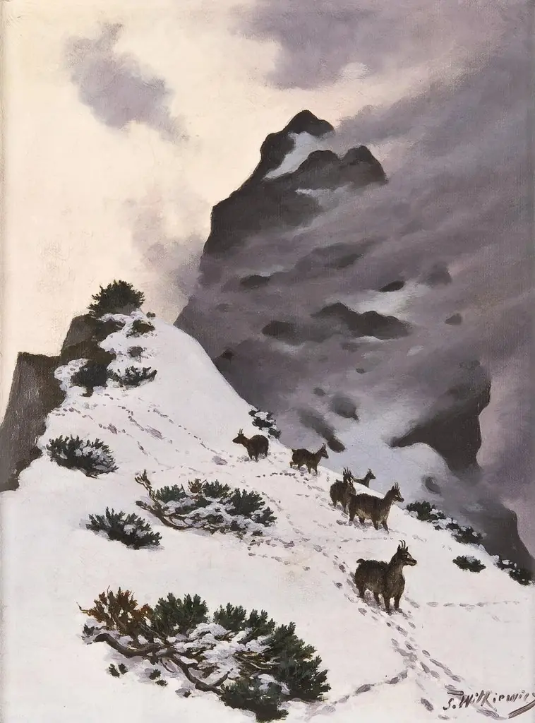 Chamois in the mountains, by Stanisław Witkiewicz