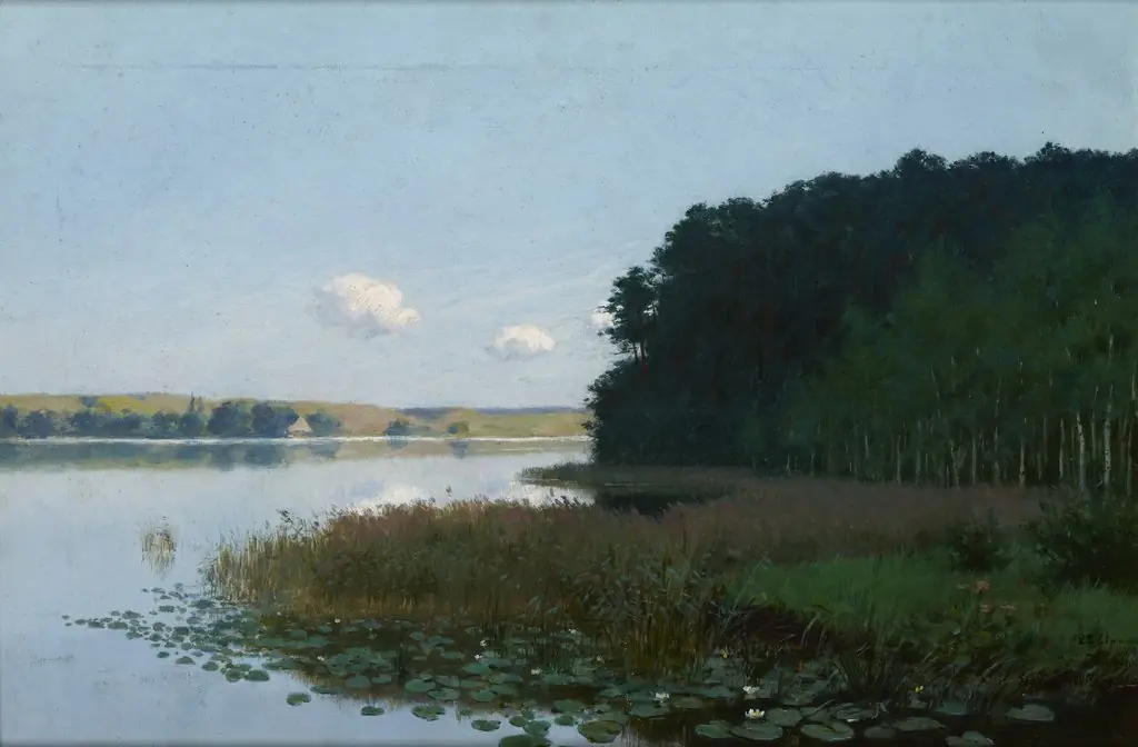 Lake with Water-Lilies