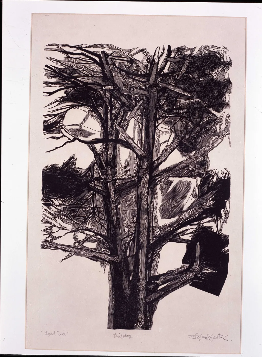 Γέρικο δέντρο, by Stefan Martin, 1970