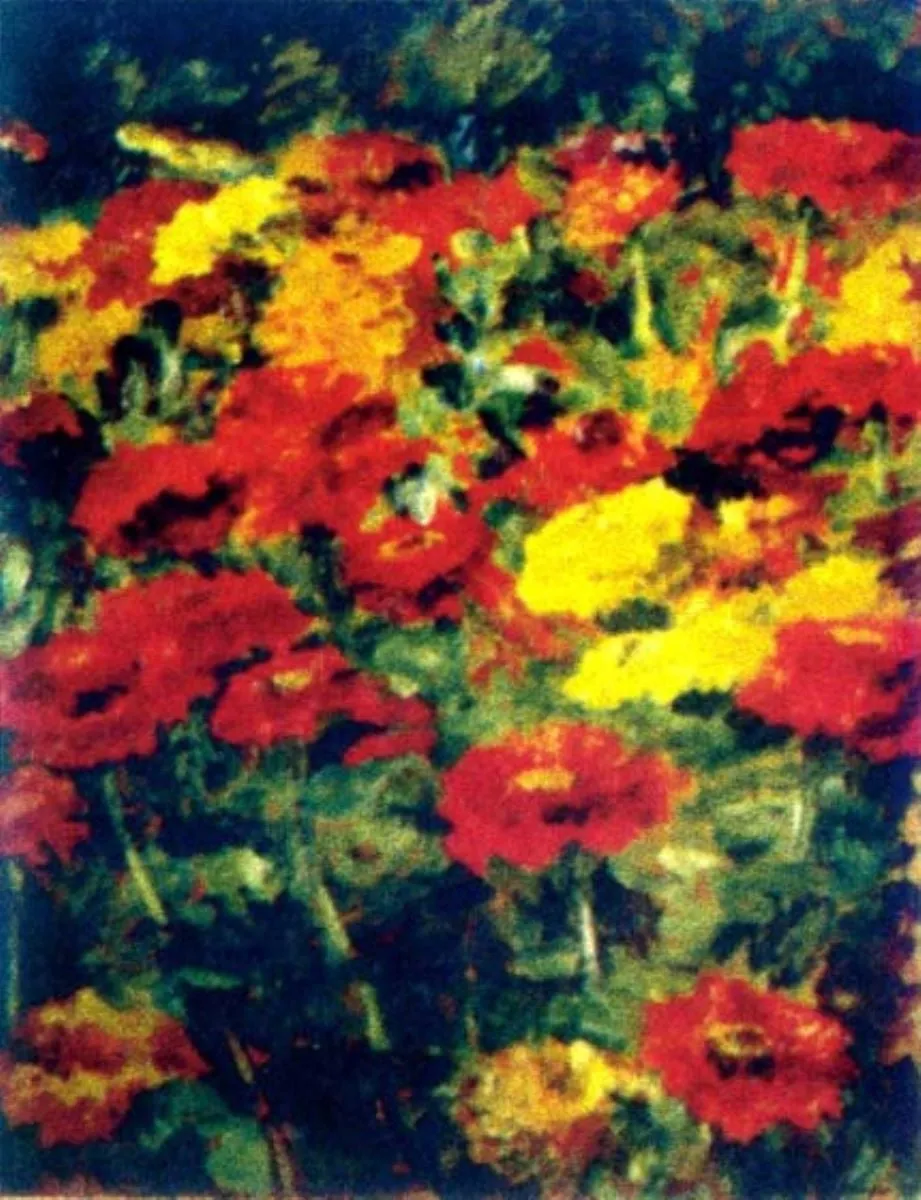 Cârciumărese, by Ștefan Popescu, unspecified