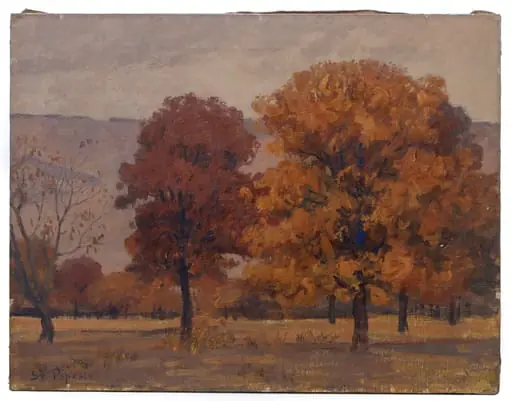 Peisaj de toamnă, by Ștefan Popescu