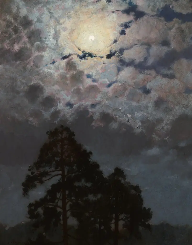 Pines, by Stefan Popowski