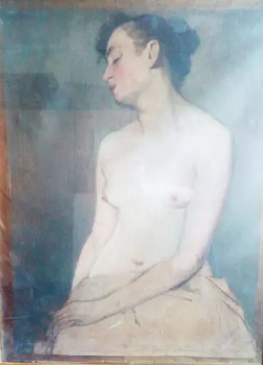 Seminud de femeie, by Ștefan Șoldănescu
