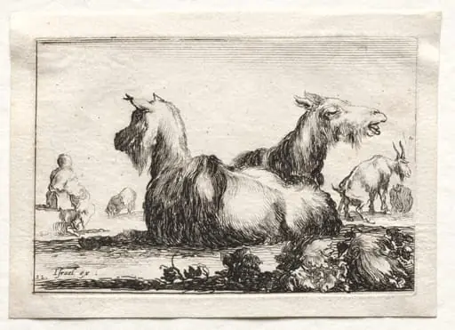 Caprices:  Two Goats, by Stefano Della Bella
