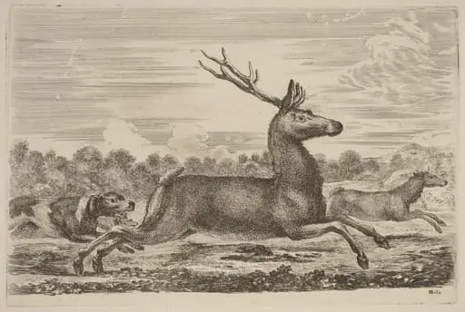 Deer Chased by Two Dogs to the Left, by Stefano Della Bella