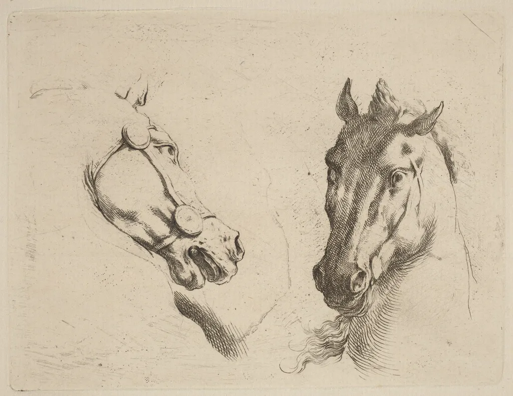 Head of a Horse Seen in Profile and in Three-Quarters, by Stefano Della Bella, ink, 1637