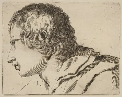 Head of a Man Turned Left, by Stefano Della Bella