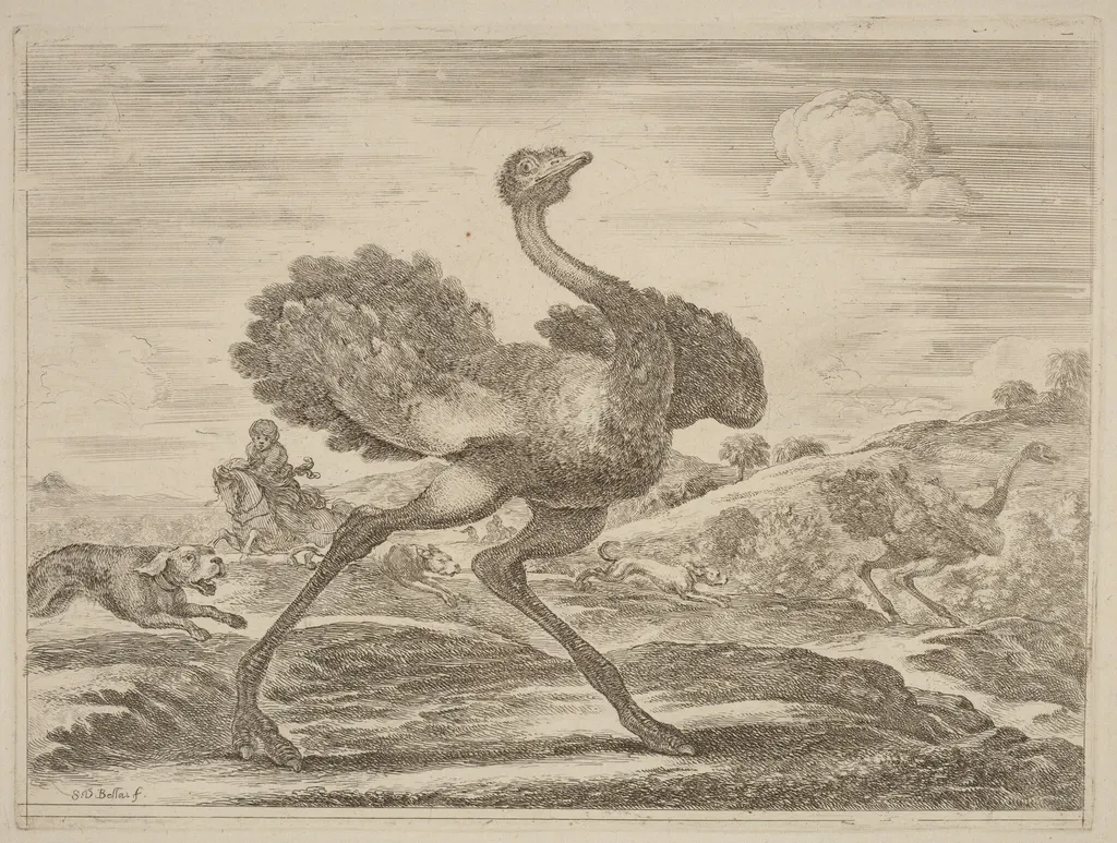Ostrich Hunt, by Stefano Della Bella, ink, 1637