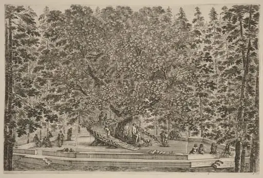 The Inhabited Tree, by Stefano Della Bella