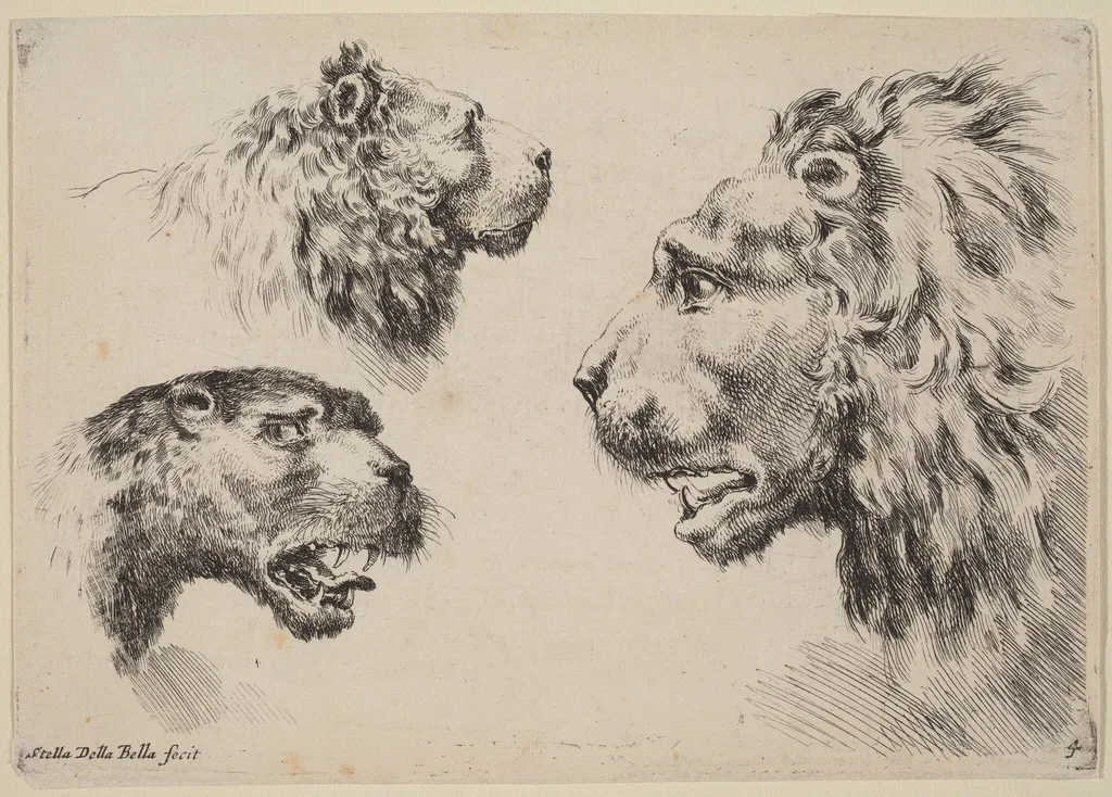 Three Lion Heads, by Stefano Della Bella, ink, 1649
