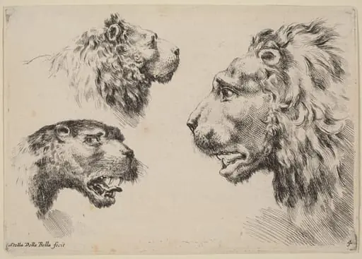 Three Lion Heads, by Stefano Della Bella