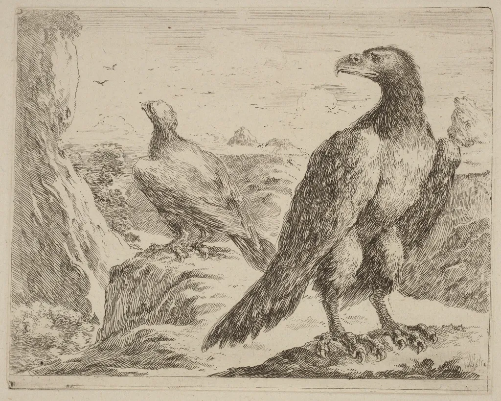Two Eagles, Both with Heads Turned to the Left, by Stefano Della Bella, ink, 1637