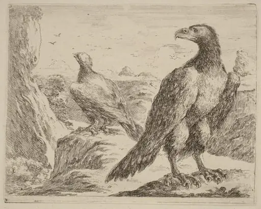 Two Eagles, Both with Heads Turned to the Left, by Stefano Della Bella