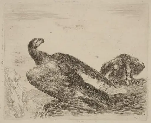 Two Eagles on a Promitory, by Stefano Della Bella