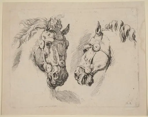 Two Horse Heads, by Stefano Della Bella