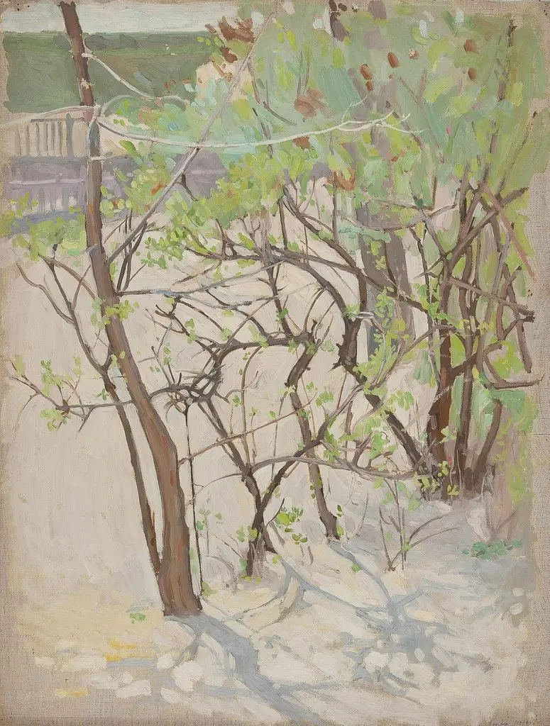 Spring Landscape