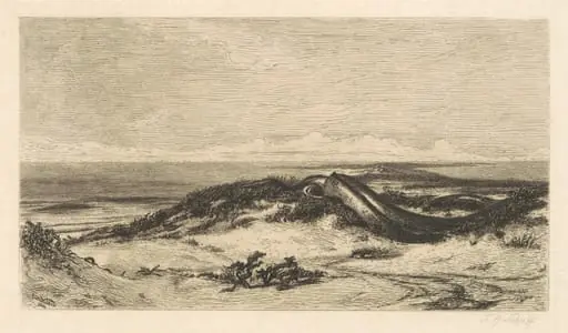 The Sea Serpent, by Stephen Alonzo Schoff