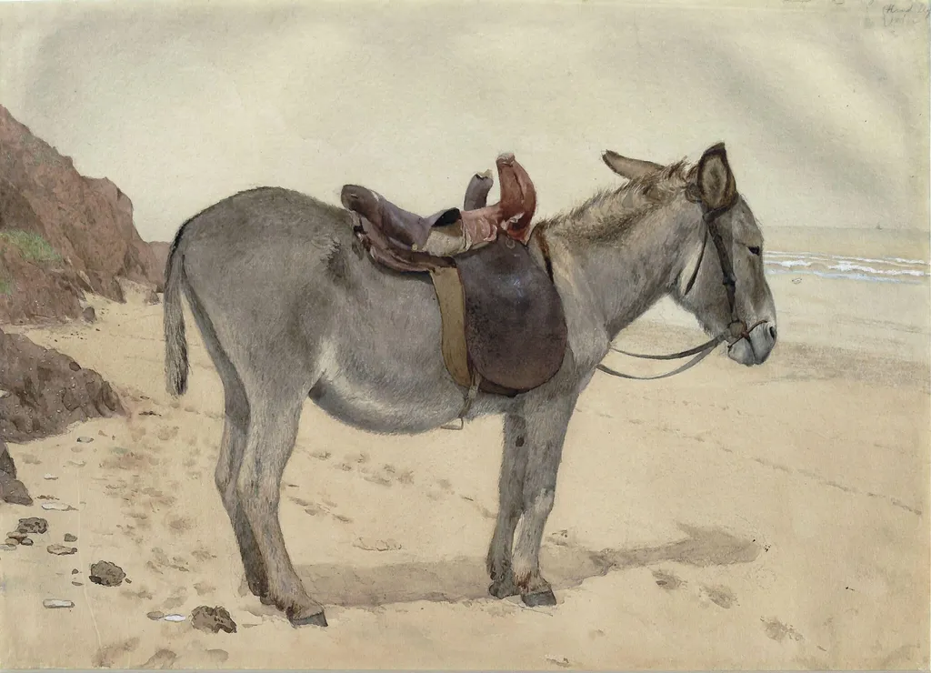 Studies of animals, by Stephen Briggs Carlill, watercolor, 1850