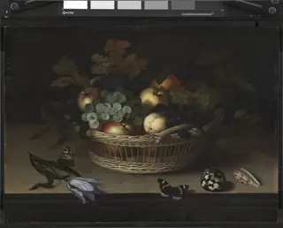 Still Life