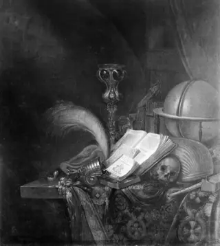 Still Life with a Bird of Paradise and Other Things
